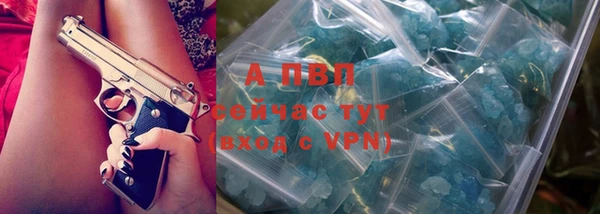 индика Волосово