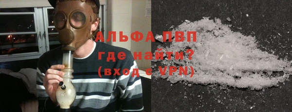 индика Волосово