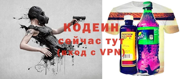 индика Волосово