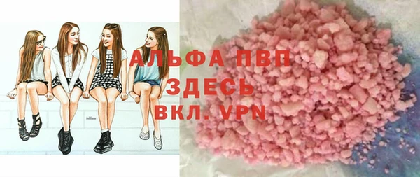 индика Волосово